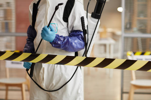 Professional Sewage Cleanup technician working in Gresham, NE
